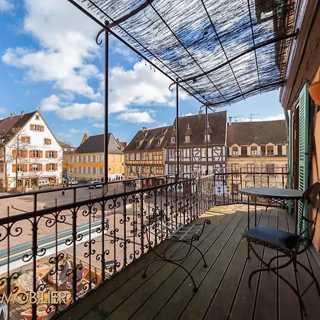 Au Bonheur Des Anges 2 Avec Terrasse كولمار