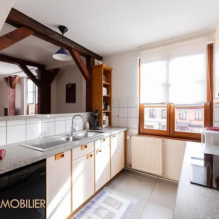 Lägenhet Au Bonheur Des Anges 2 Avec Terrasse Colmar