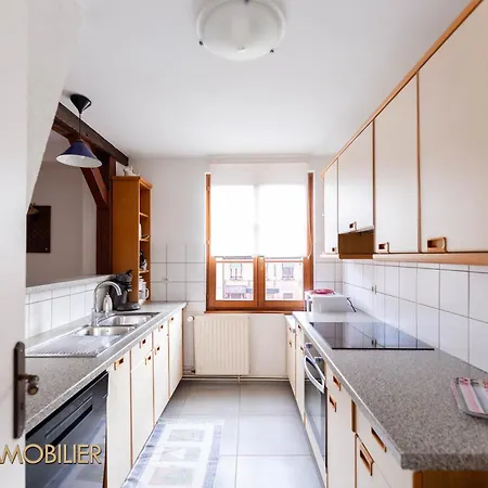 شقة Au Bonheur Des Anges 2 Avec Terrasse كولمار