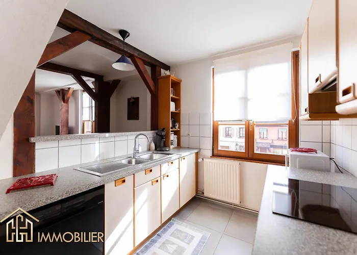 Apartment Au Bonheur Des Anges 2 Avec Terrasse Colmar