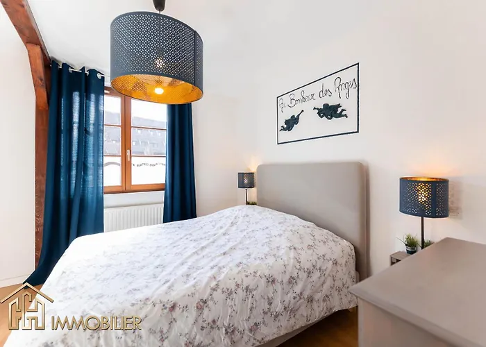 Au Bonheur Des Anges 2 Avec Terrasse Colmar